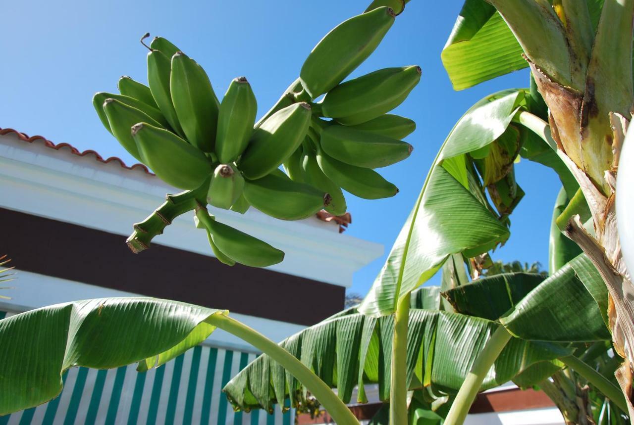 Lacy Golf Apartments (Adults Only) Maspalomas  Zewnętrze zdjęcie